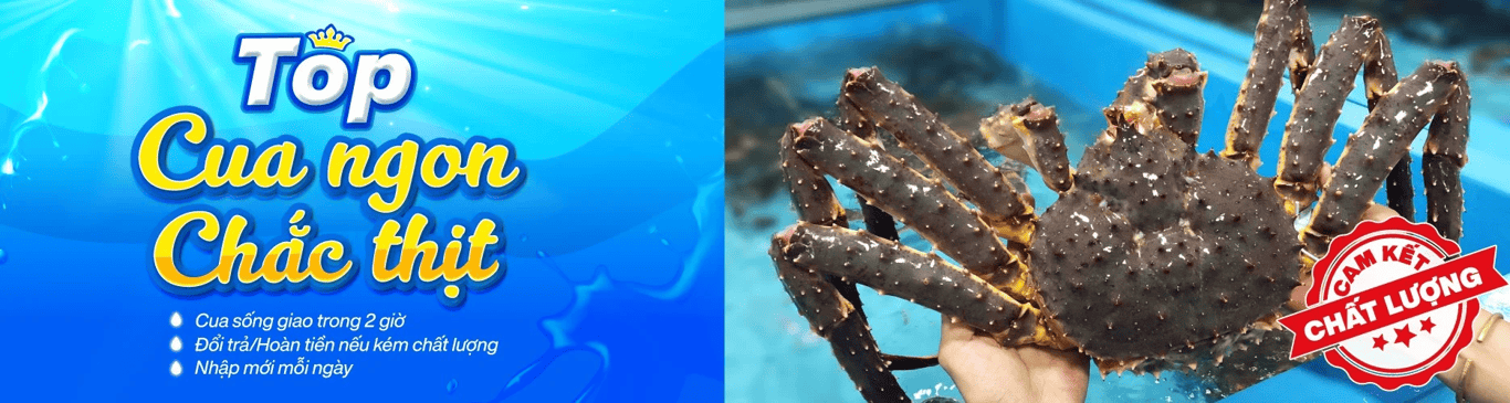 (HỘ KINH DOANH) NGUYỄN NGỌC XÊ